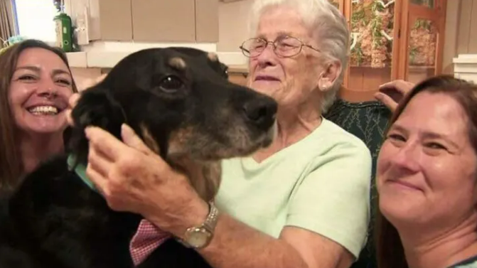 Dog Kept Breaking Out Of Shelter And Running To A Nursing Home To Hang Out With Its Residents