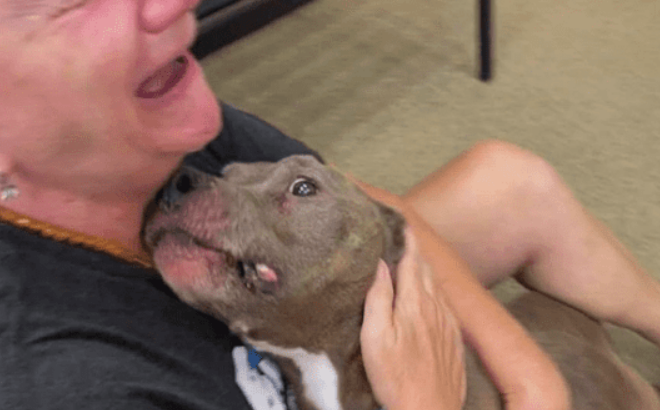 Pit Bull Missing For 8-Years Shows Up Malnourished But ‘Full Of Love’