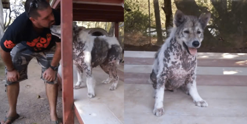 Shelter Dog Celebrates with Adorable ‘Happy Dance’ After 4-Years of Waiting