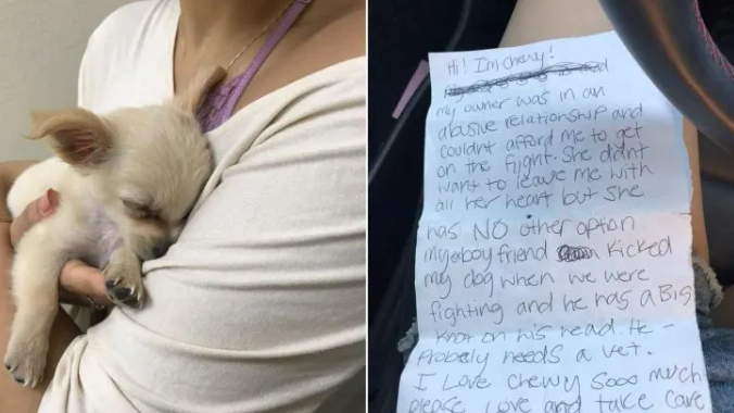 Sweet Dog Was Left By His Owner In An Airport Restroom Along With A Sad Note