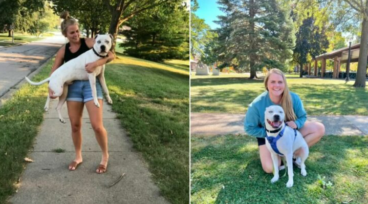 Woman Adopted A Shelter Dog She Cared For Many Years Ago, Reunion Was Beyond Heartwarming