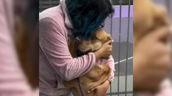 Shelter Employee Hugs Inconsolable Dog After The Saddest Surrender She’s Ever Witnessed