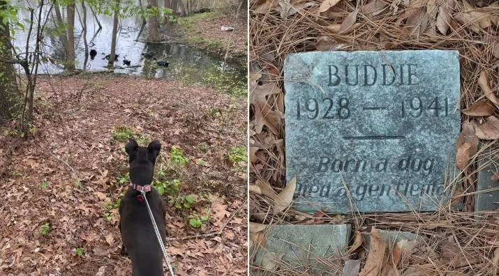 The Inscription On This Old Dog’s Grave Will Leave You In Tears