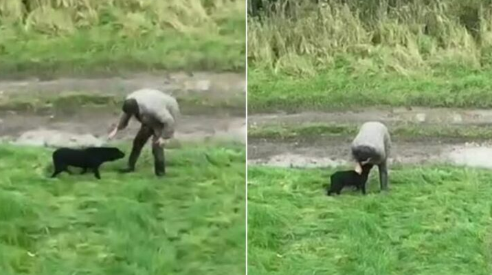 Drone Captures Heartwarming Moment When A Blind, Lost Dog Finally Meets Her Owner Again