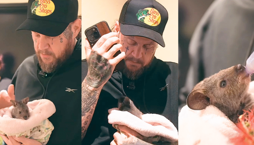 Jelly Roll Australia: His Heartwarming Quokka Adventure