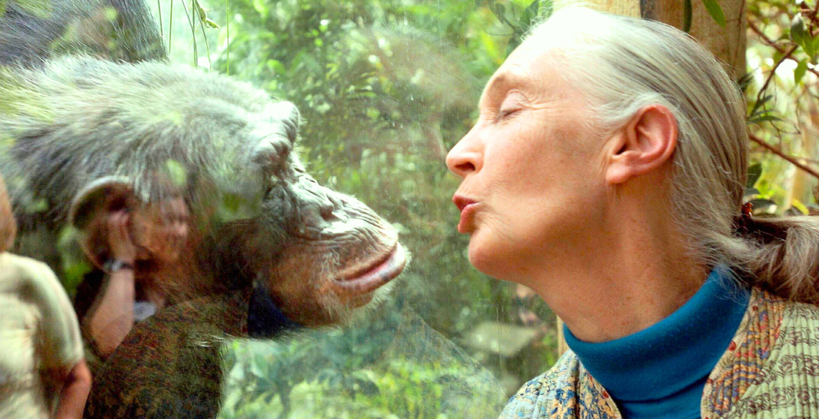 Jane Goodall Death Confirmed at Age 91