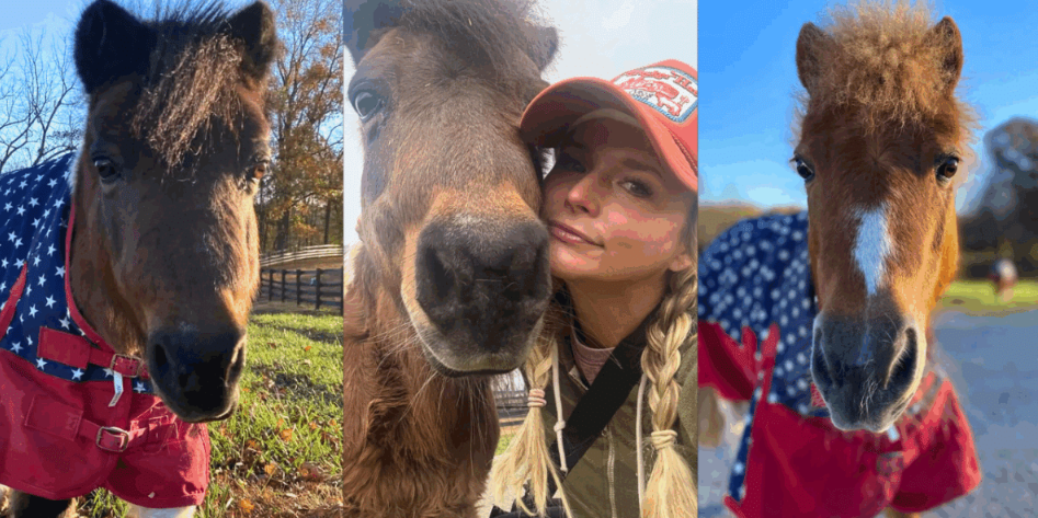Miranda Lambert Mini Horses Tribute And Loss