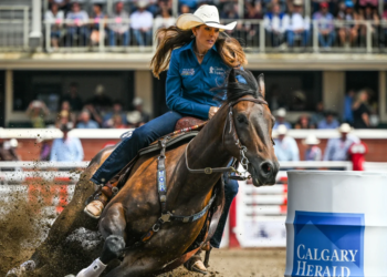 Owners Provide Update On Horses Injured In Las Vegas Barrel Racing Stabbing