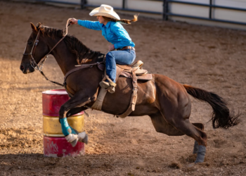 Las Vegas Police Department Identify Possible Suspect In Horse Stabbing Incident