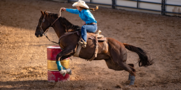 Las Vegas Police Department Identify Possible Suspect In Horse Stabbing Incident