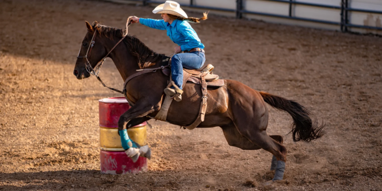Las Vegas Police Department Identify Possible Suspect In Horse Stabbing Incident