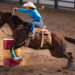 Las Vegas Police Department Identify Possible Suspect In Horse Stabbing Incident