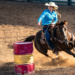 Teenage Suspect Faces Possible Adult Charges In Las Vegas Horse Stabbing Case
