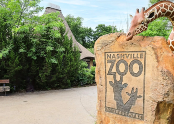 Nashville Zoo battles data center plans, Brad Paisley takes notice