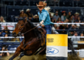 Horse owners give updates on animals hurt in Vegas stabbing incident