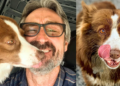 Mike Wolfe mourns the loss of his dog after a tragic accident