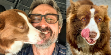 Mike Wolfe mourns the loss of his dog after a tragic accident