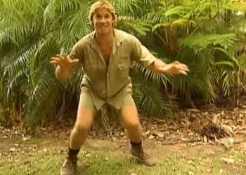 Steve Irwin's family weighs in on his potential as a DWTS dancer