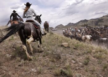 TV drama sparks surging demand and higher prices for US ranch land