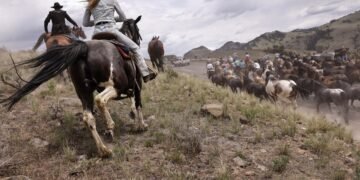 TV drama sparks surging demand and higher prices for US ranch land