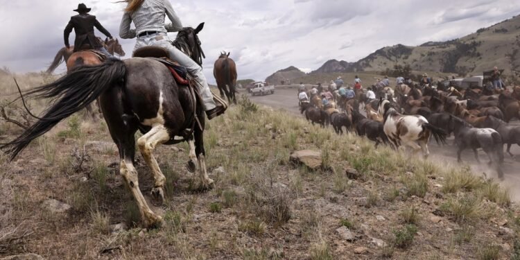 TV drama sparks surging demand and higher prices for US ranch land