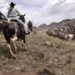 TV drama sparks surging demand and higher prices for US ranch land