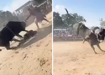 Young bull rider seriously injured at New York rodeo event