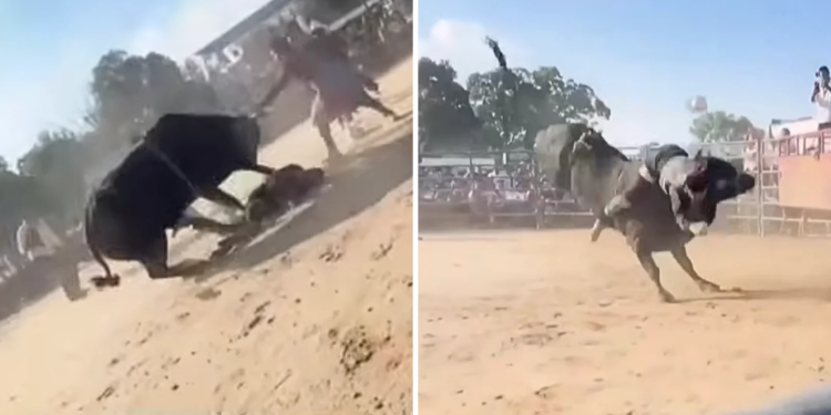 Young bull rider seriously injured at New York rodeo event