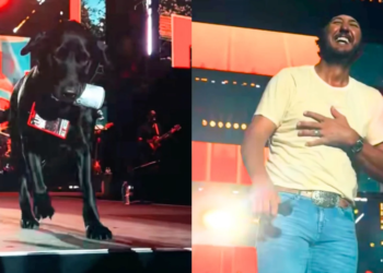 Luke Bryan's dog brought him a beer during a live performance