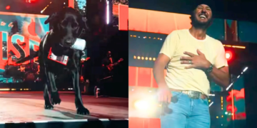 Luke Bryan's dog brought him a beer during a live performance
