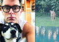 Radio host Bobby Bones shares story and photo of coyote that bit his dog