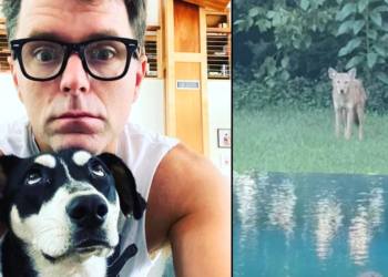 Radio host Bobby Bones shares story and photo of coyote that bit his dog