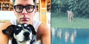 Radio host Bobby Bones shares story and photo of coyote that bit his dog