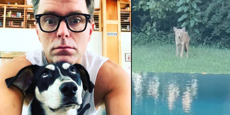 Radio host Bobby Bones shares story and photo of coyote that bit his dog