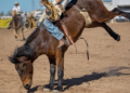 Rodeo champion Cooper Filipek's dad gives update after serious injury