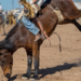 Rodeo champion Cooper Filipek's dad gives update after serious injury